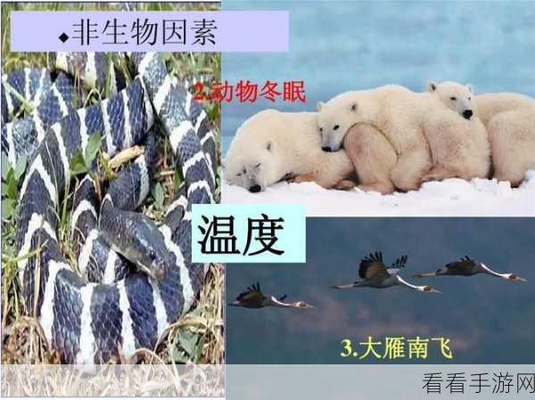 探秘非生物因素异界灼热剂，配方与方法全攻略