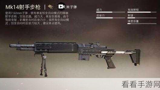 和平精英，深度剖析 MK14 射手步枪的独特魅力