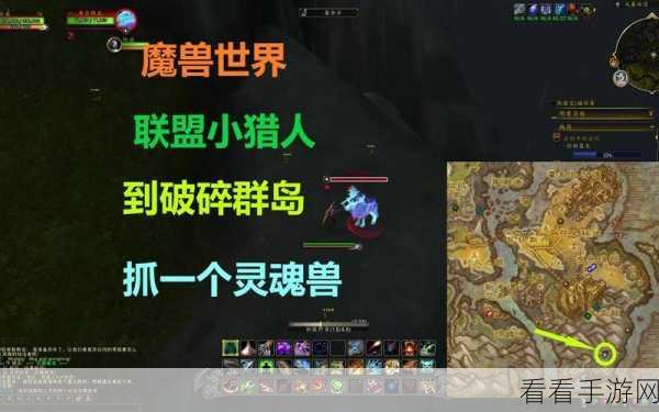 魔兽世界灵魂兽出没全攻略，时间与地点大揭秘