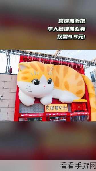 猫咪小吃店焕新上线，打造你的梦幻萌宠美食帝国