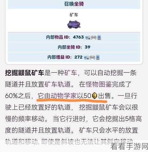 泰拉瑞亚矿车玩法全攻略，带你畅游神秘世界