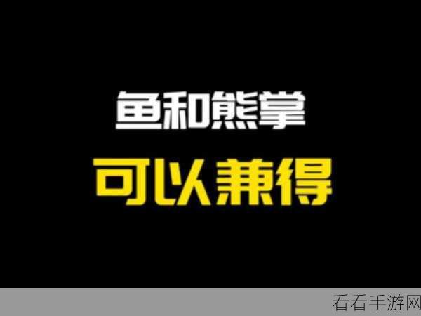 休闲新宠，小熊来钓鱼——放松益智的指尖盛宴