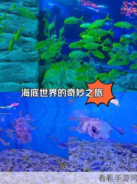 探索神秘海底世界，海底两万里益智休闲手游震撼上线！