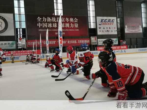 冰球格斗Hockey Fight震撼上线，安卓iOS双端激战，体验冰上热血对决！