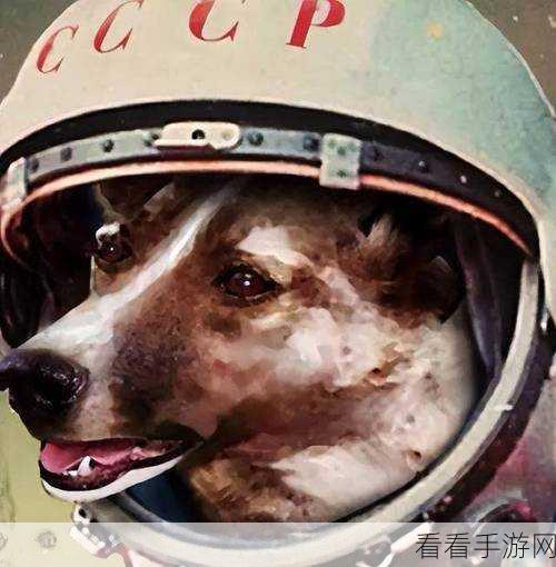 探索狗钩宇宙狗狗游戏的独特魅力