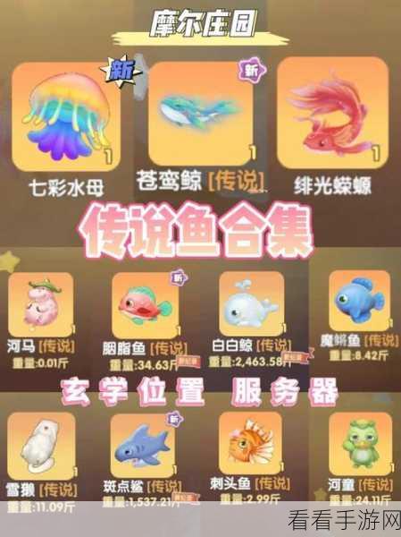 摩尔庄园，探秘美美鱼的获取与属性全解析