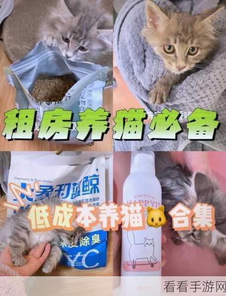 心动小镇养猫秘籍，让猫咪成为你的贴心伙伴