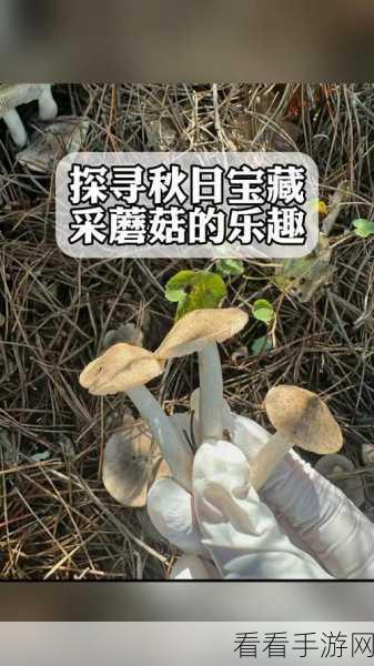 蘑菇迷的福音，真实采集蘑菇模拟器手机版正式上线，体验趣味采菇之旅