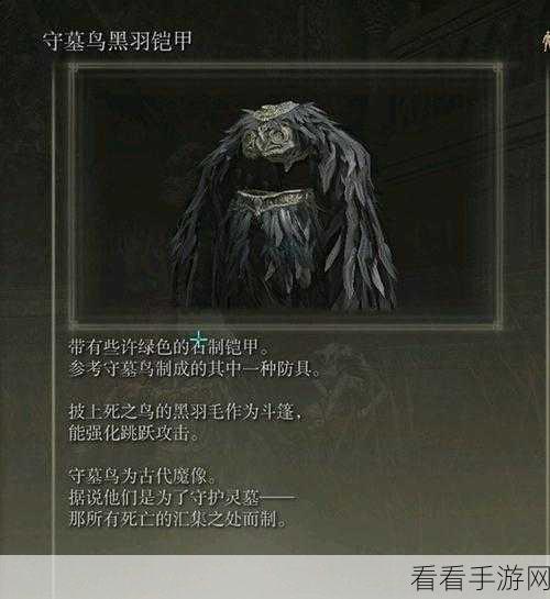 艾尔登法环黄金树之影 DLC，守墓鸟黑羽铠甲的神秘获取秘籍