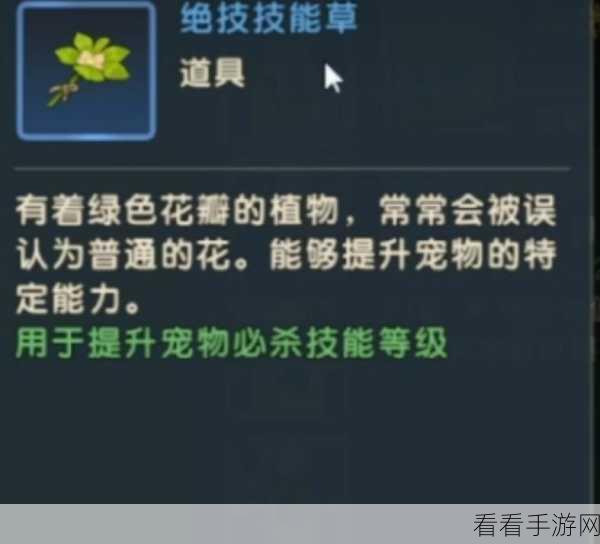 魔力宝贝复兴，弓箭手宠物完美搭配秘籍