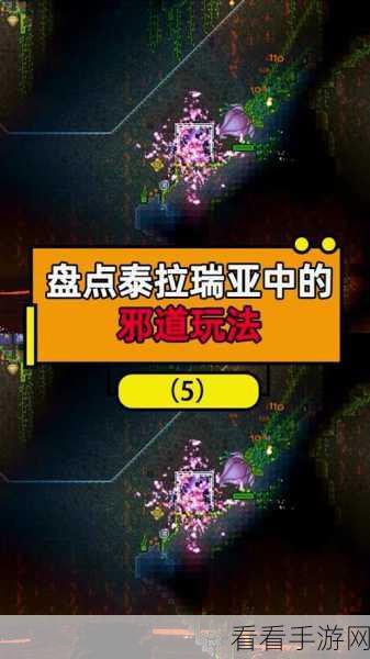 泰拉瑞亚，火星人入侵的神秘召唤秘籍大公开