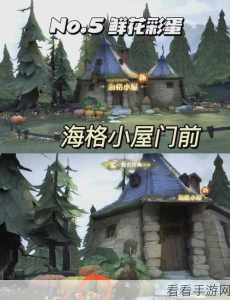 哈利波特魔法觉醒，圣诞节惊喜彩蛋全位置大揭秘