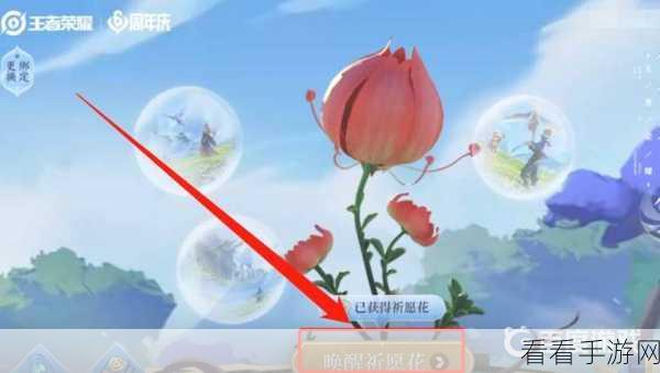王者荣耀，探秘祈愿花的神秘获取之道与入口位置