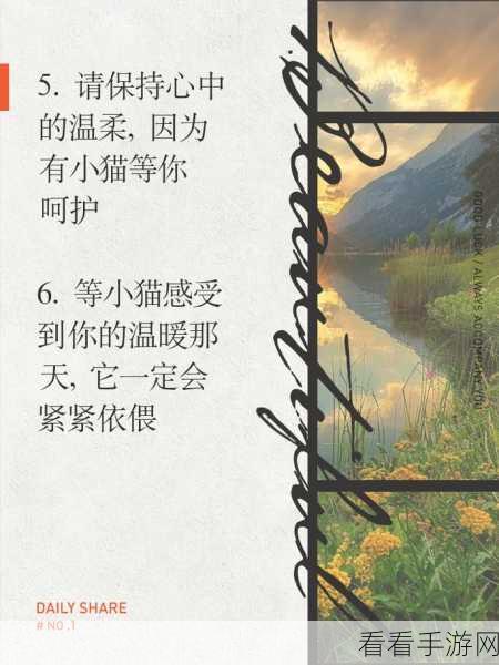 此处应有猫，失业后的温暖治愈之旅