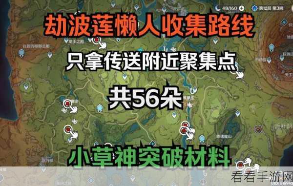 原神劫波莲采集秘籍，最佳路线全曝光
