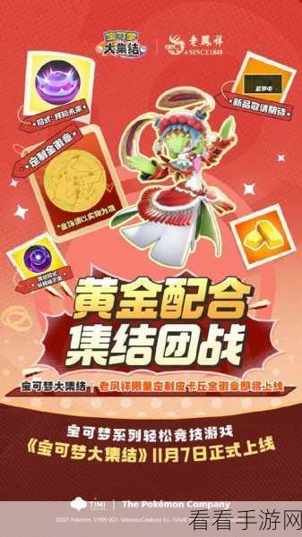 宝可梦大集结，马力全开协力战的魅力与挑战
