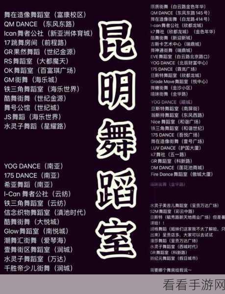 2024 超燃舞蹈游戏大赏，好听音乐与炫酷舞步的完美融合