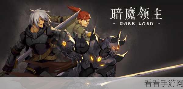 暗魔领主刷魂石秘籍大公开
