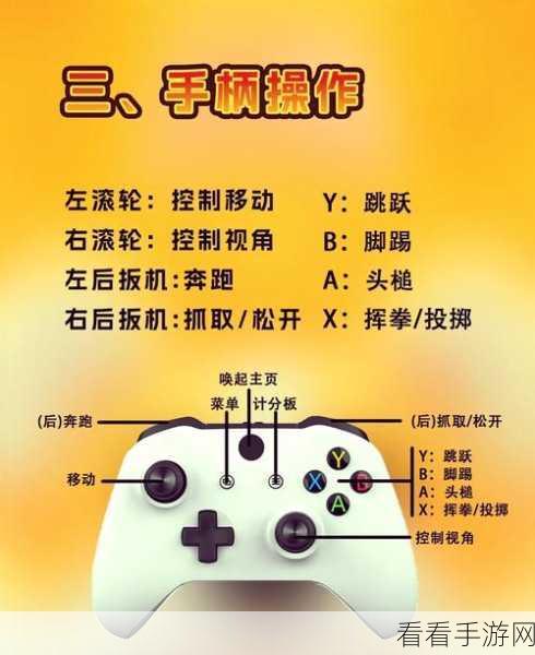 猛兽派对双人同屏秘籍，详细设置指南与技巧分享