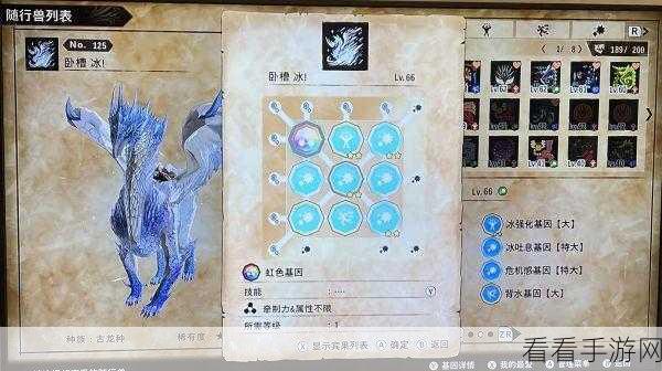怪物猎人物语，巅峰对决！最强怪物搭配全解析