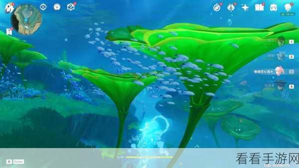 原神荒海海底世界，终极解谜秘籍大公开