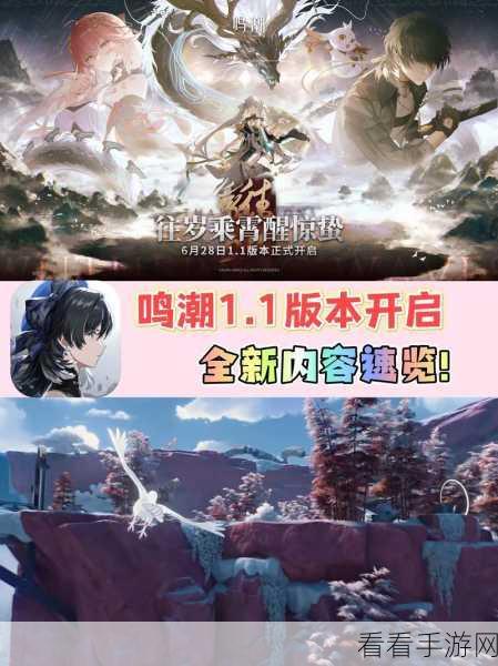 鸣潮卡卡罗共鸣链升级秘籍大揭秘