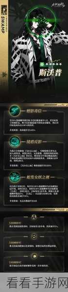 非匿名指令，斯沃普实力全解析