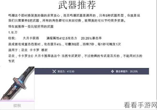 鸣潮夜归魂武器抉择秘籍，带你制霸战场
