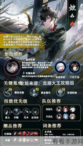归龙潮争锋相对玩法全攻略，技巧与策略大揭秘