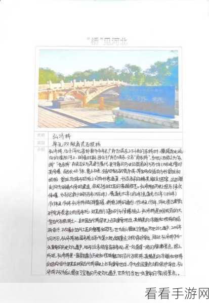桃源记建桥秘籍，轻松打造梦想之桥