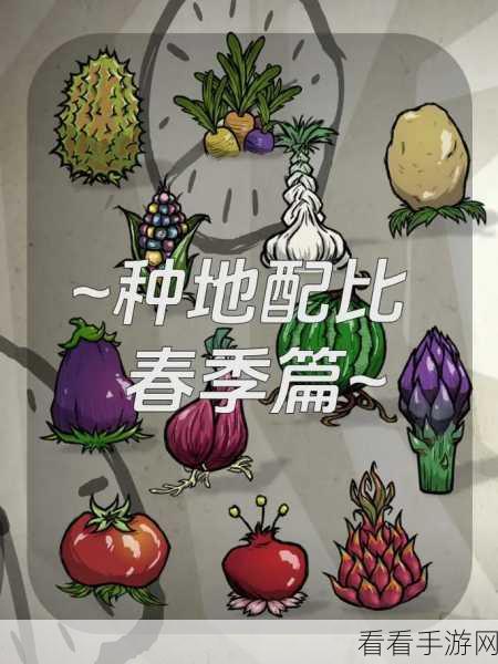 饥荒种地秘籍，轻松打造丰收田园