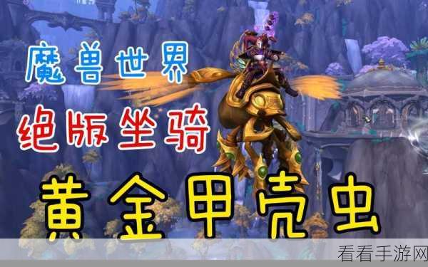 魔兽世界全新甲虫宠物获取秘籍大公开
