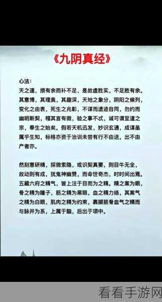 九阴真经，探秘困天刀法的魅力与获取秘诀