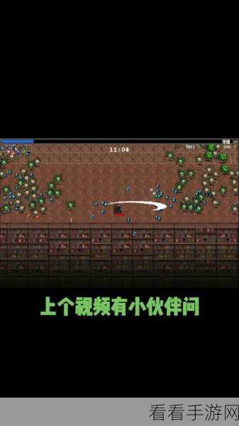探寻吸血鬼幸存者存档的神秘之地，文件路径全解析