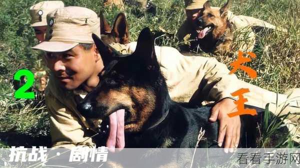 部落与弯刀，犬王剧情全攻略 深度揭秘任务细节