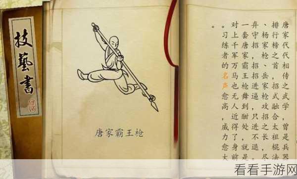 侠客风云传，唐家霸王枪搭配秘籍全解