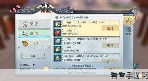 武林外传涅槃秘籍，全方位攻略指南