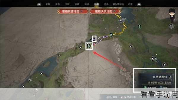 霍格沃茨之遗，梅林试炼通关秘籍大揭秘