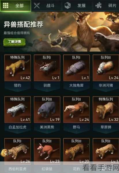 探秘兽人领地，全方位玩法攻略大揭秘