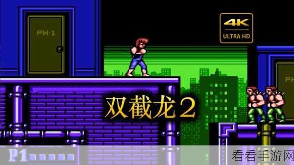 经典重生！Double Dragon 2安卓版震撼来袭，街机格斗新体验