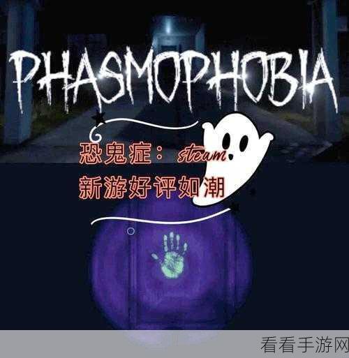 恐鬼症游戏组队秘籍，高效协作的关键指南