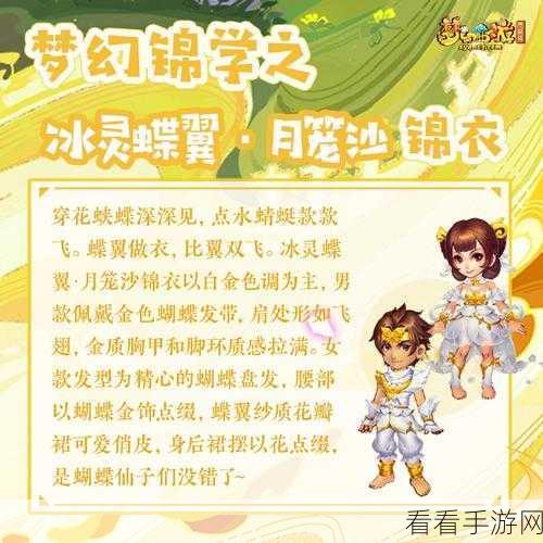 梦幻西游锦衣幻羽秘籍，材料获取与幻羽技巧全解析