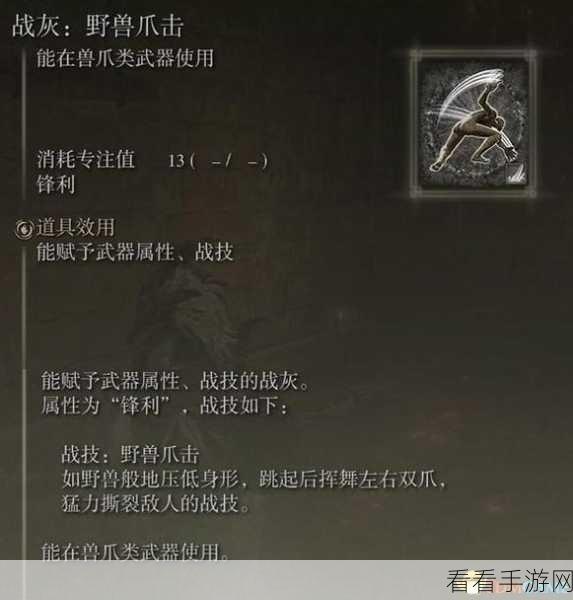 艾尔登法环战灰装备使用秘籍大揭秘