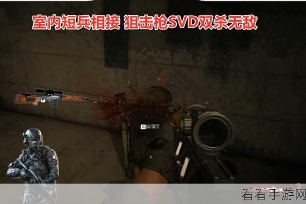 使命召唤手游，SVD - 赫拉之击的无敌配件秘籍