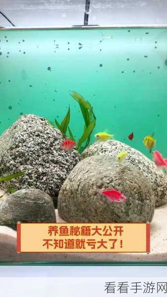 帝国神话，养鱼秘籍大揭秘