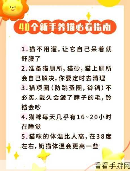 黄金四目新手畅玩秘籍，避开这些坑，轻松玩转
