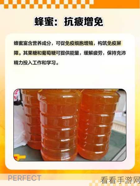 探秘饥荒蜂蜜的神奇用途，开启生存新征程