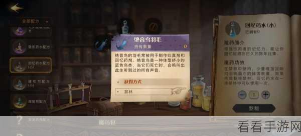 哈利波特魔法觉醒，南瓜币获取秘籍大公开