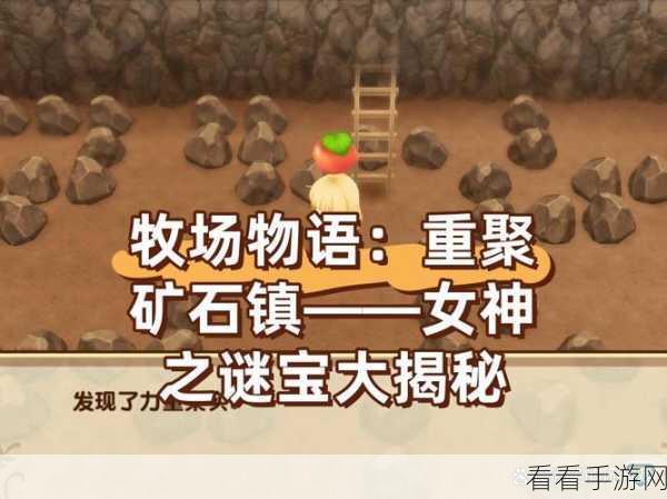 收纳物语之传家之宝，完美通关秘籍大揭秘