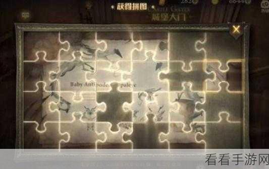 哈利波特魔法觉醒，拼图位置全揭秘与碎片攻略秘籍